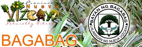barangay bagbag number|Bagabag, Nueva Vizcaya Profile – PhilAtlas.